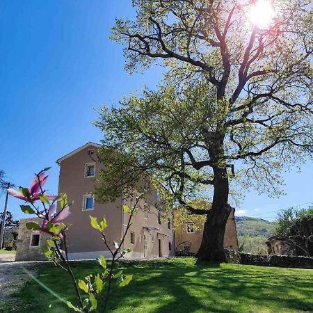 Willa Casa Quieto Motovun Zewnętrze zdjęcie